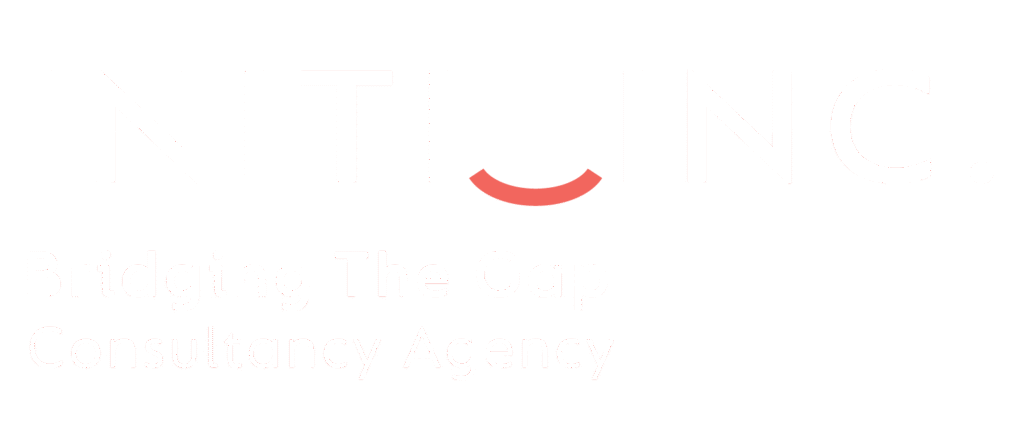 initi inc bridging the gap and consultancy agency4